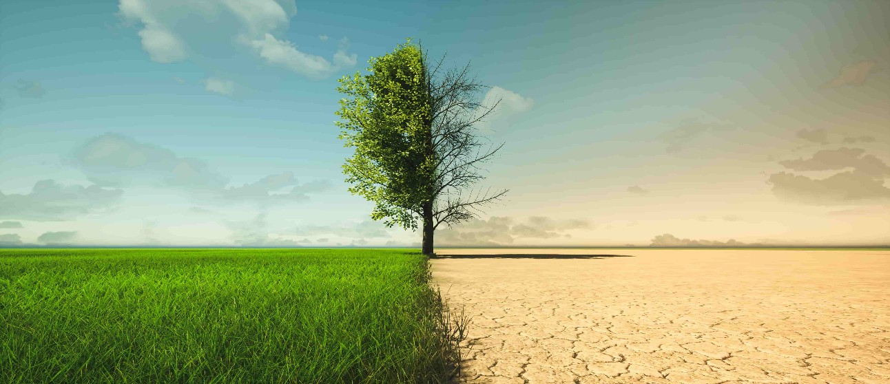 Crise climática e aquecimento global: cumprimento das NDCs pode mudar o futuro