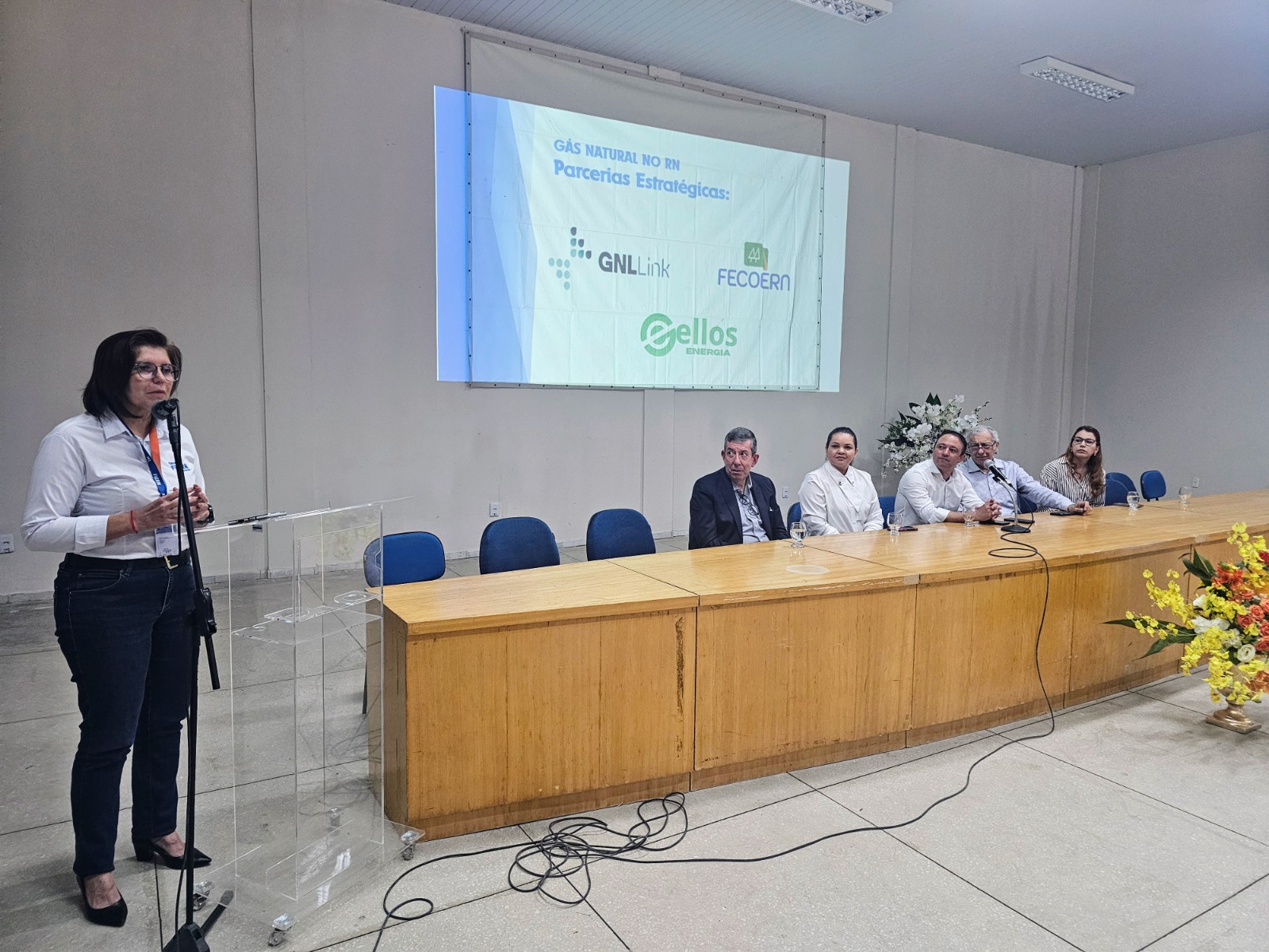 FIERN participa de debate sobre ampliação do uso de gás natural pelas indústrias do Estado