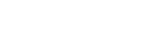 Novos Líderes