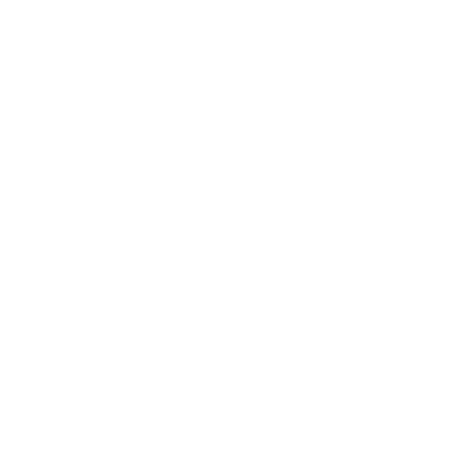 Novos Líderes Industriais